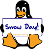 Penguin snow day