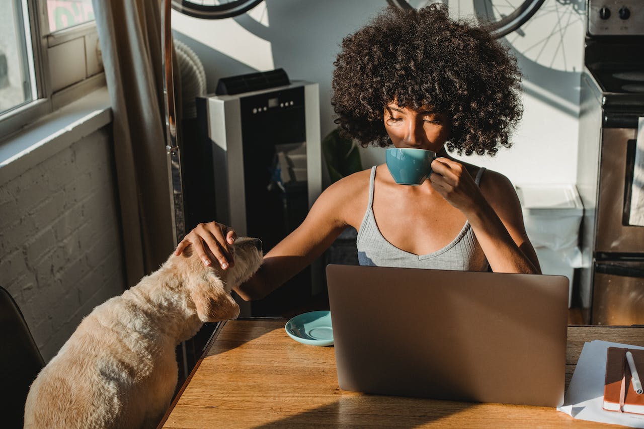 woman drinking coffee looking at laptop sitting and petting dog